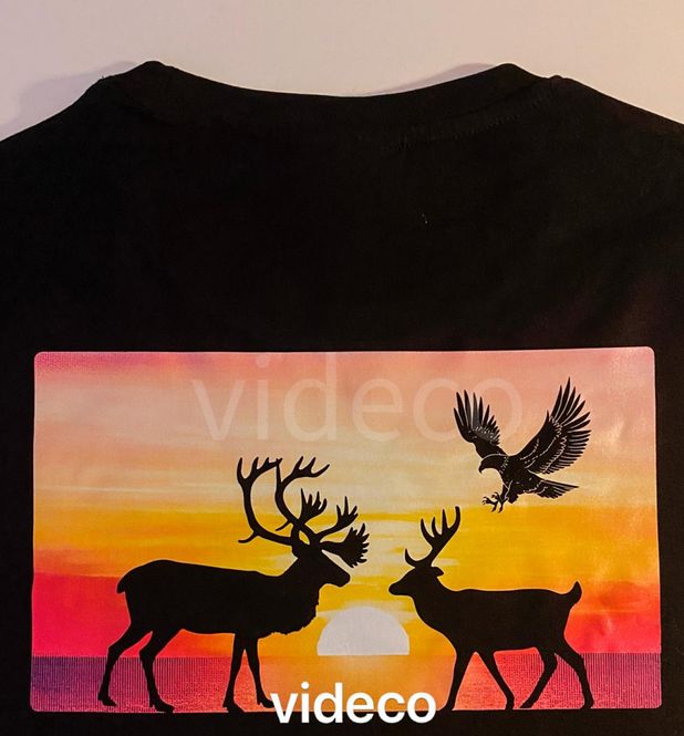 Hovedbilde T-shirt- Reinsdyr og ørn i solnedgang