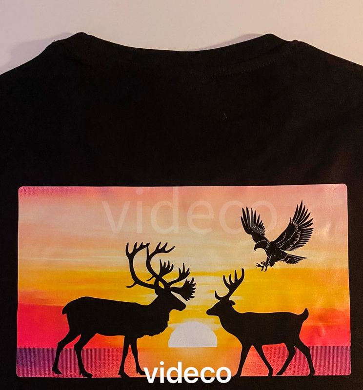 T-shirt- Reinsdyr og ørn i solnedgang