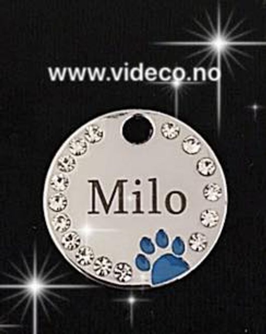 Hovedbilde Navnesmykke til hund m/bling