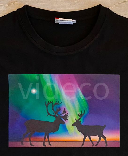 Hovedbilde T-shirt- Nordlys m/reinsdyr