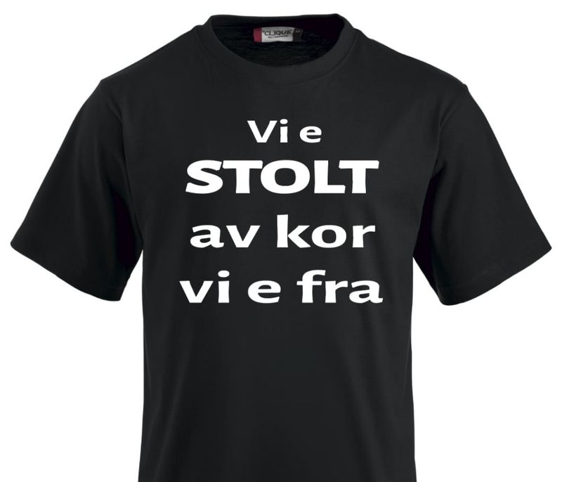 T-shirt / Hoodie - Vi e STOLT av kor vi e fra 