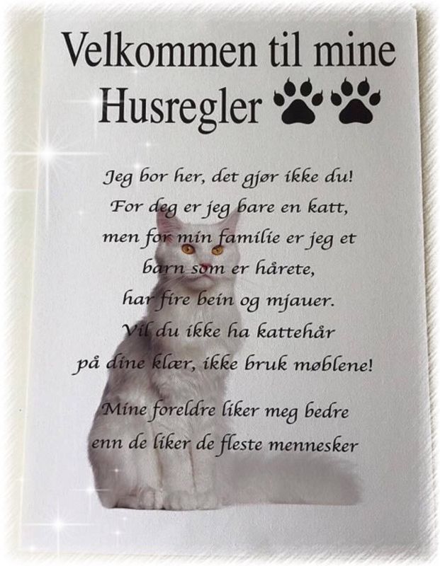 Velkommen til mine husregler Hund/Katt